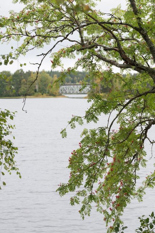 Lemettilae Countryside Accommodation Petajavesi Экстерьер фото
