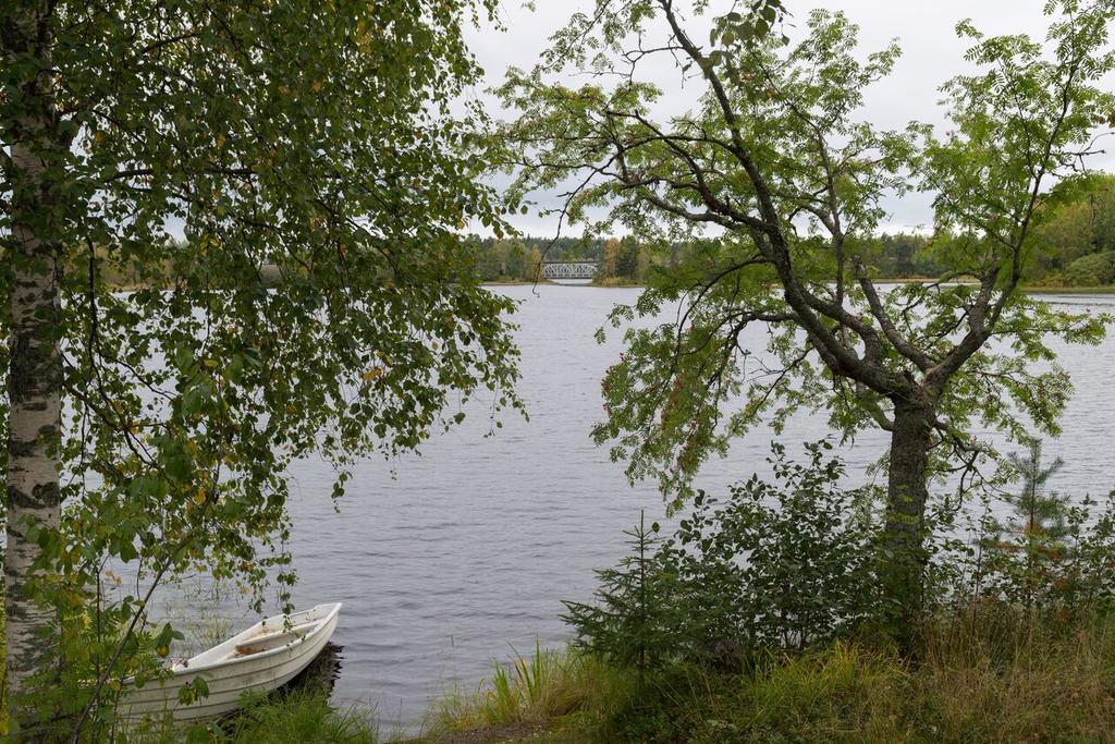 Lemettilae Countryside Accommodation Petajavesi Экстерьер фото